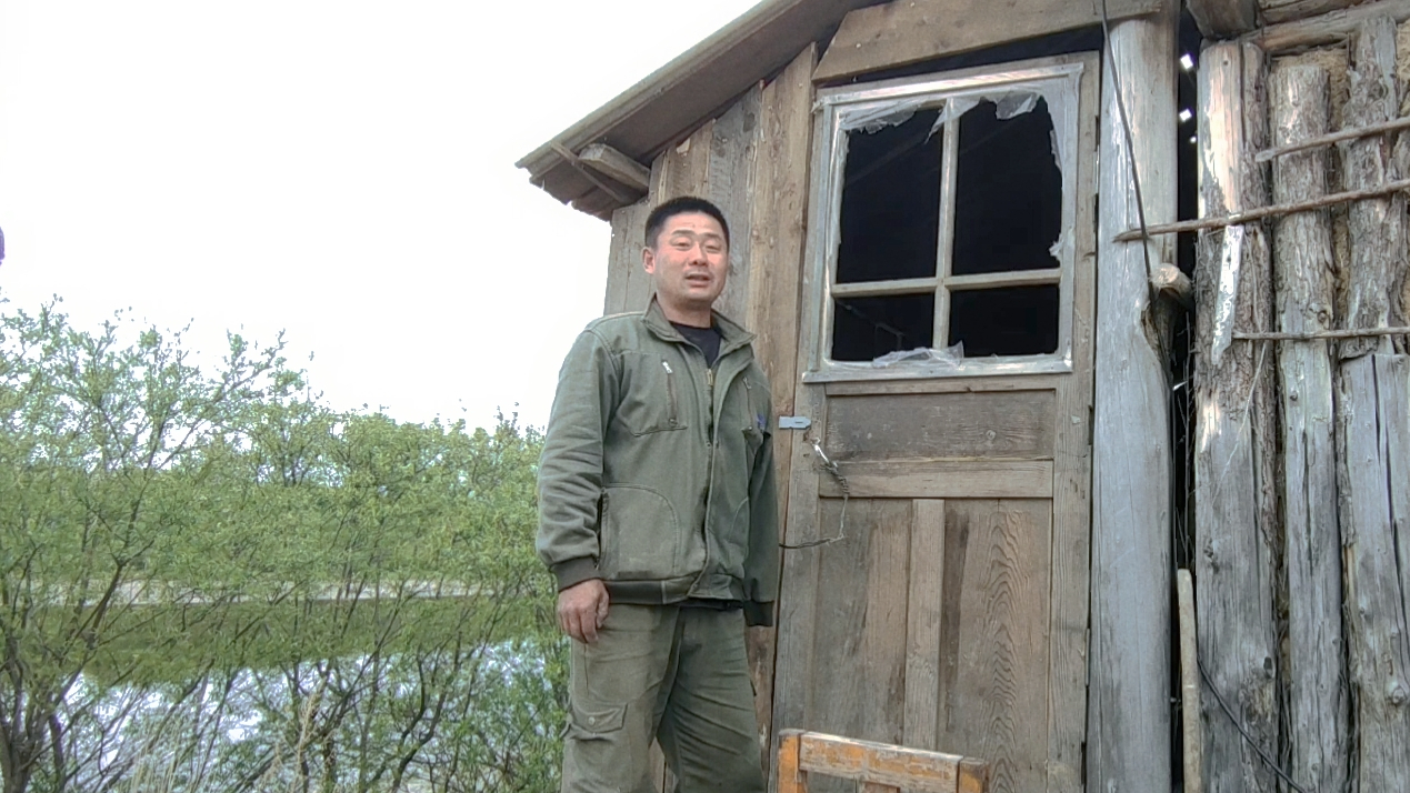黑龙江岛屿篱笆院,新建的板棚子安装门,栽木桩遇到大石头咋办?